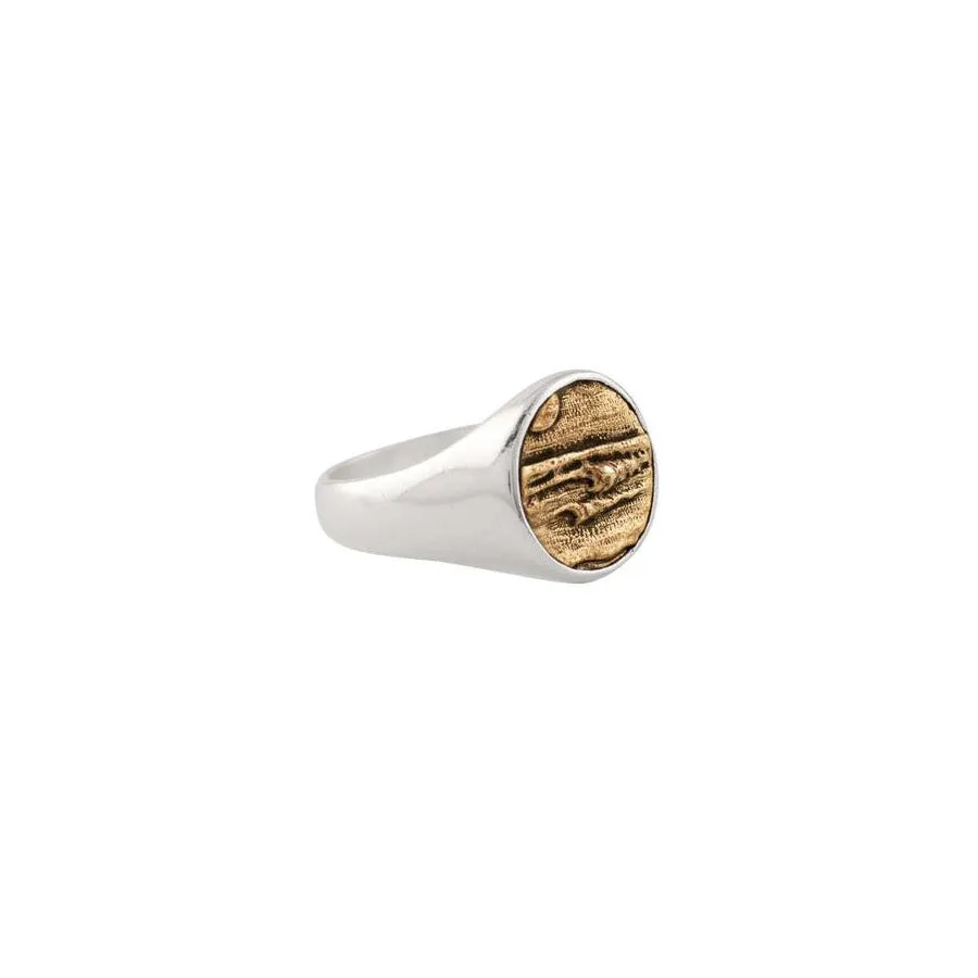 Elements Signet Ring -  Go with the Flow in Bronze