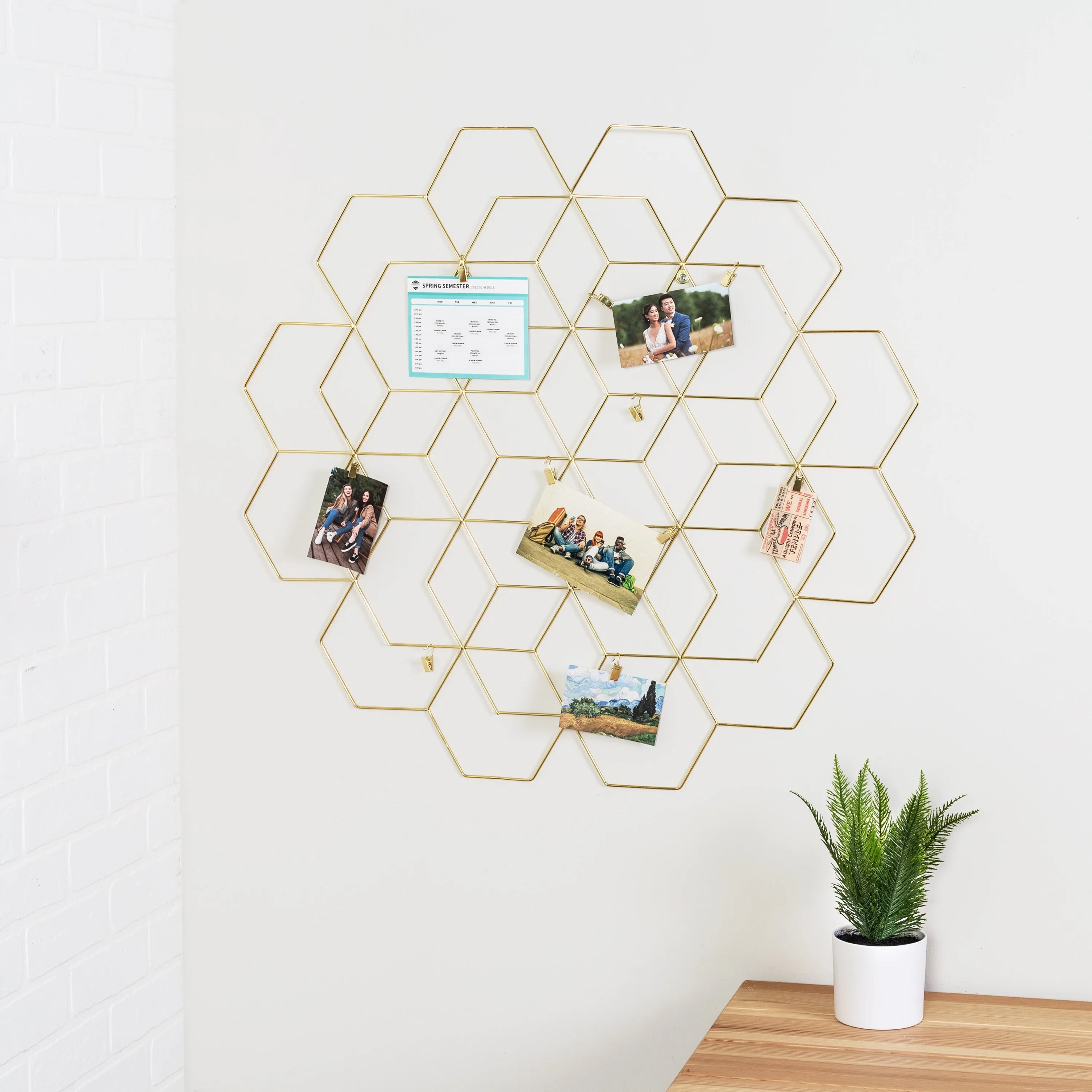 Gold Hanging Photo Display Holder with 10 Clips