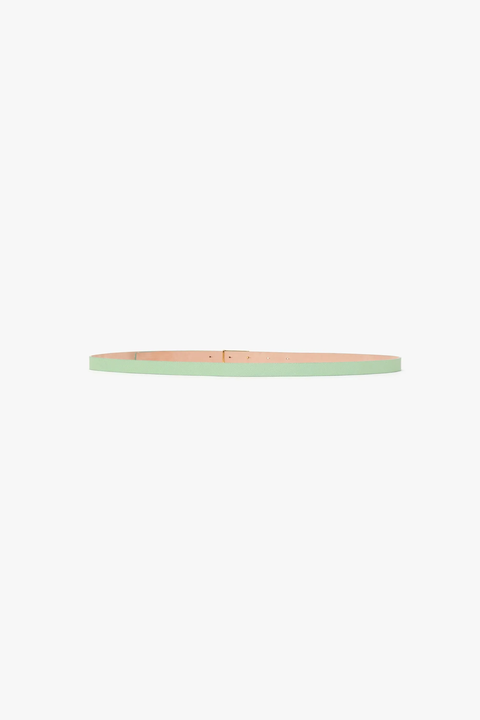 Micro Frame Belt In Jade Grained Leather