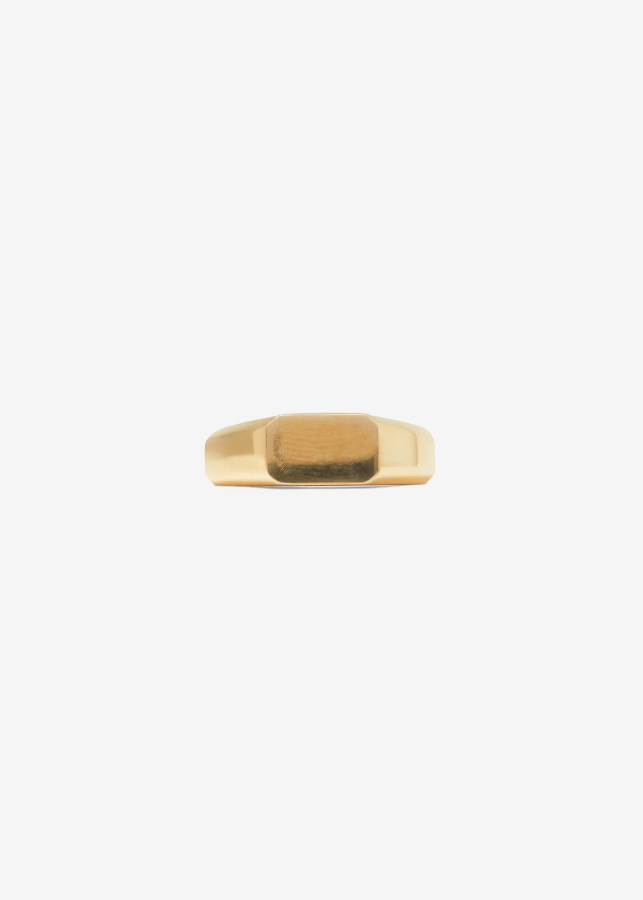 Slized Signet Ring