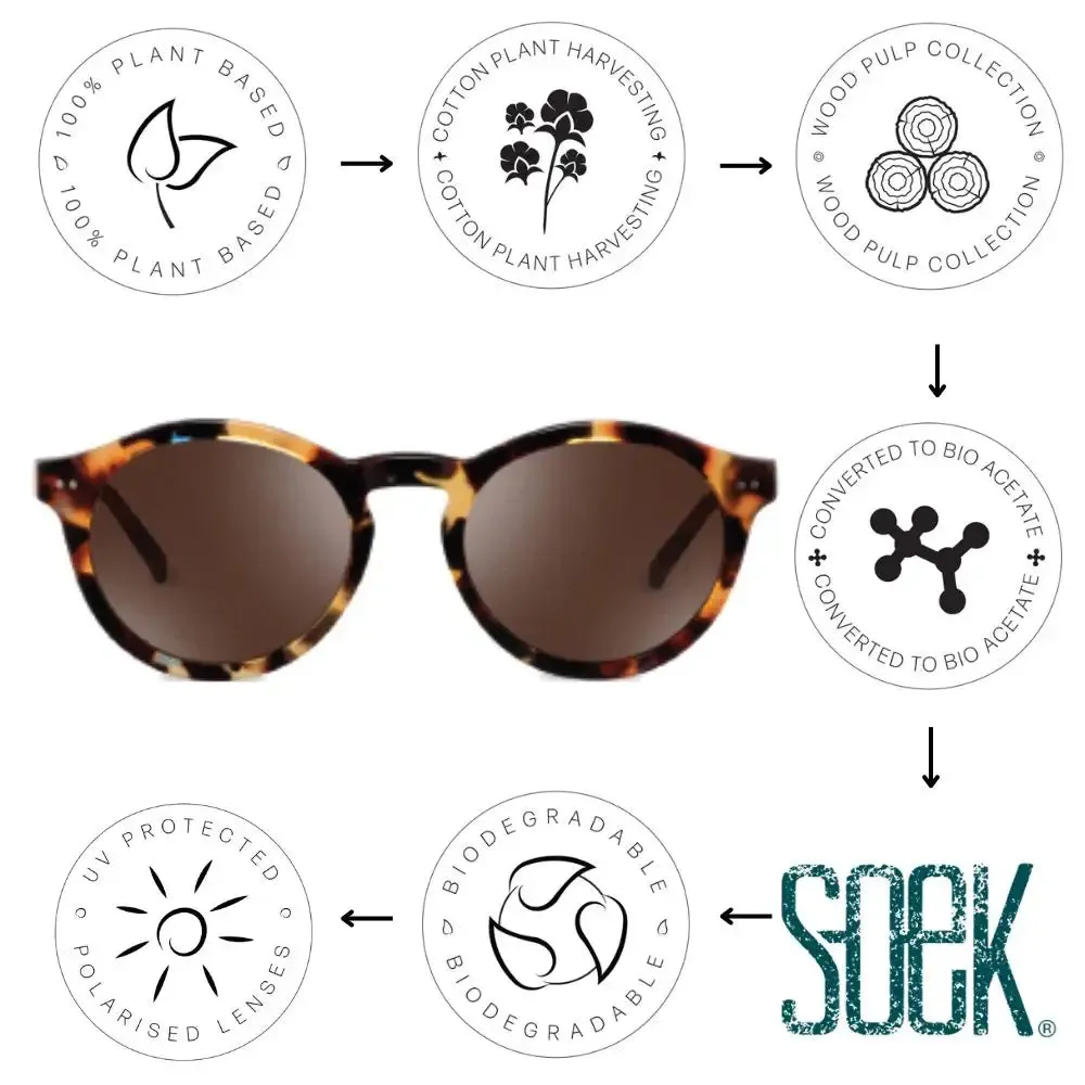 Soek Sunglasses - Collide Sandstone -Bio Acetate Tortoise Frame